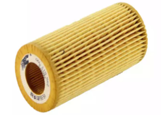 Auto Part Car 06L 115 466 Private Label Φίλτρο λαδιού κινητήρα αυτοκινήτου για VW